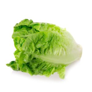 سفارش آنلاین كاهو رومانو مرغوب و ممتاز